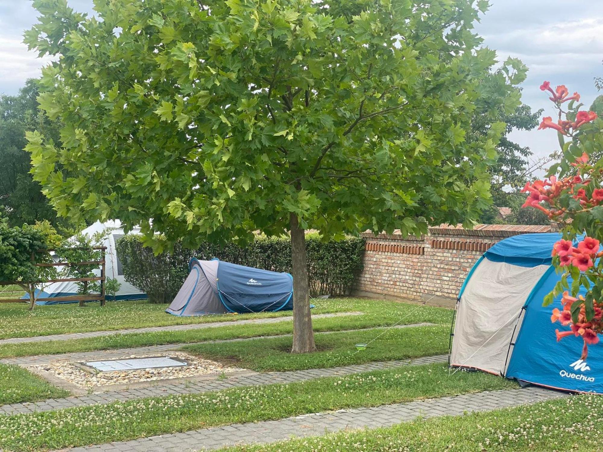 Bed and Breakfast Bocor Fogado Kisharsány Zewnętrze zdjęcie